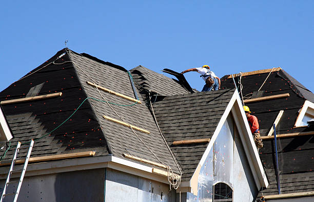 Best Shingle Roofing Installation  in Ensley, FL