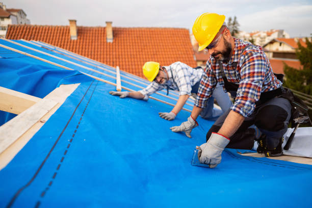Best Gutter Installation and Roofing  in Ensley, FL