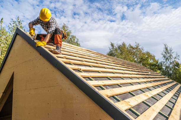 Best Roof Maintenance Services  in Ensley, FL
